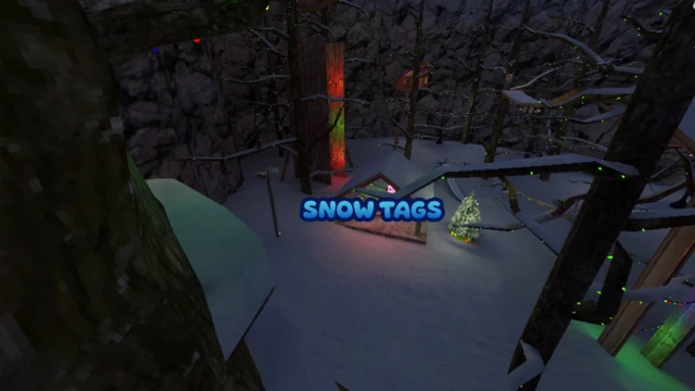 Snow Tags cover
