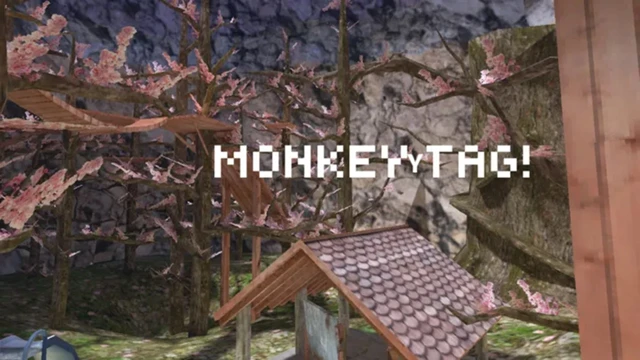 MONKEYY TAG cover