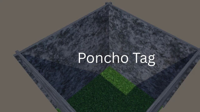 Poncho TAGGGG cover
