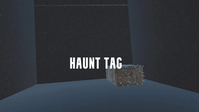 HAUNT TAG cover
