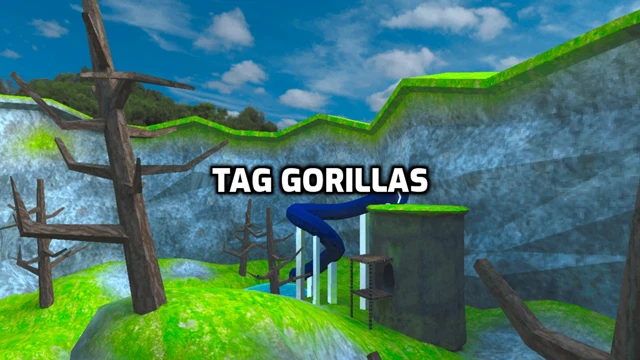 Tag Gorillas cover