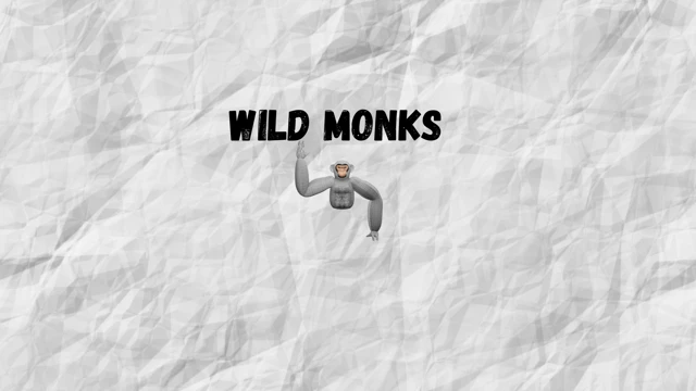 Wild Monks cover