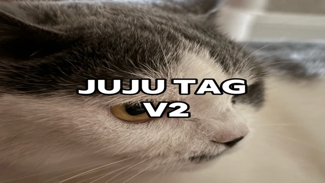 Juju Tag V2 cover