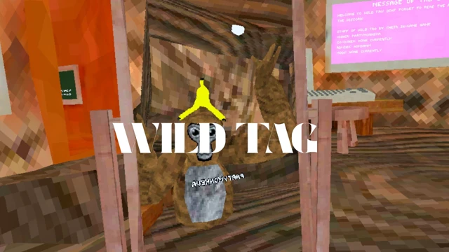 Wild Tag cover