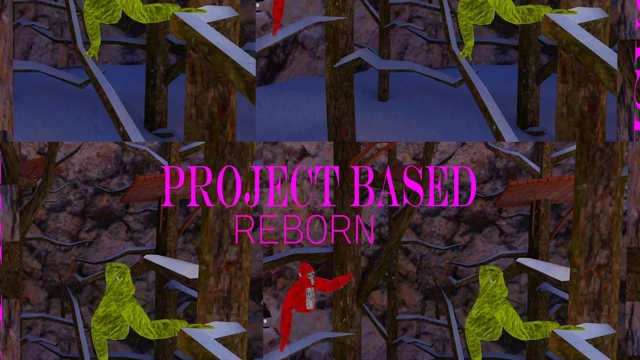 Project Based Reborn cover