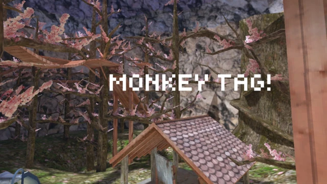 MONKEY TAG cover