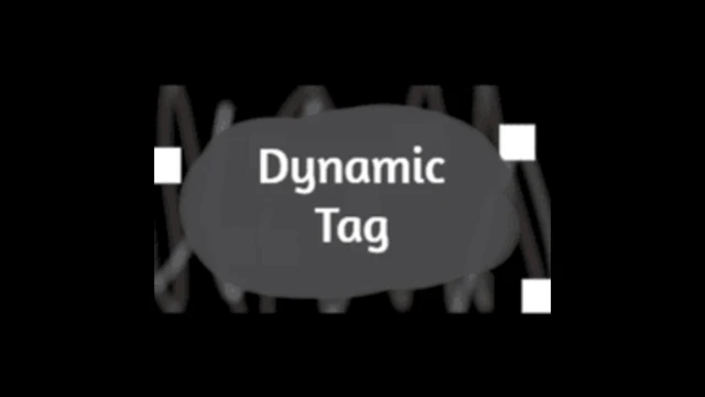 Dynamic Tag cover
