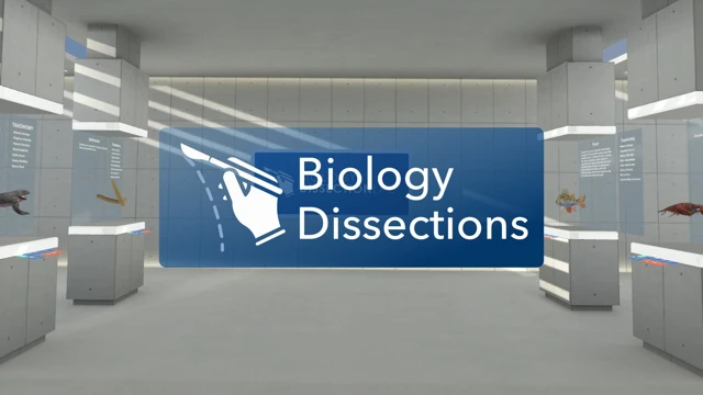 Biology Dissections cover