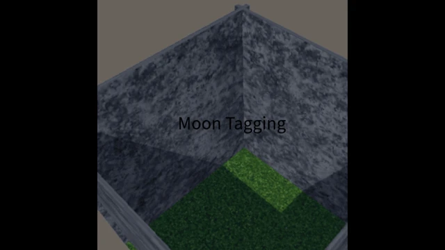Moon Tagging V1 cover