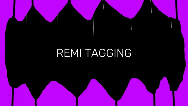 Remi Tagging cover