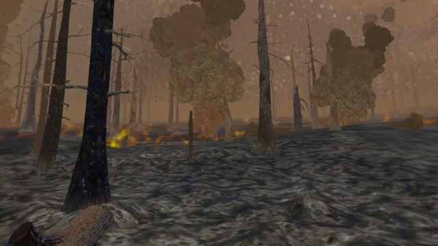 Forest Fire Regrowth cover