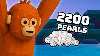 2200 PEARLS cover