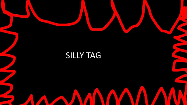 Silly Taggers cover
