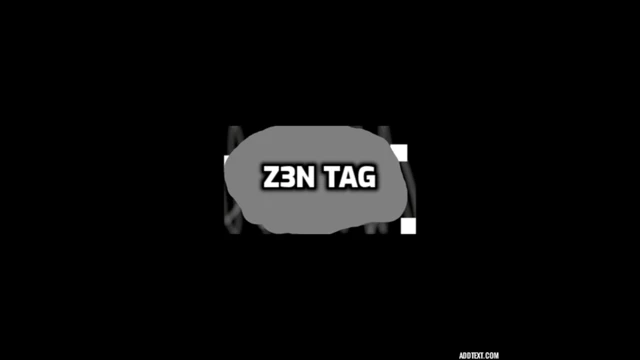 Z3N TAG cover