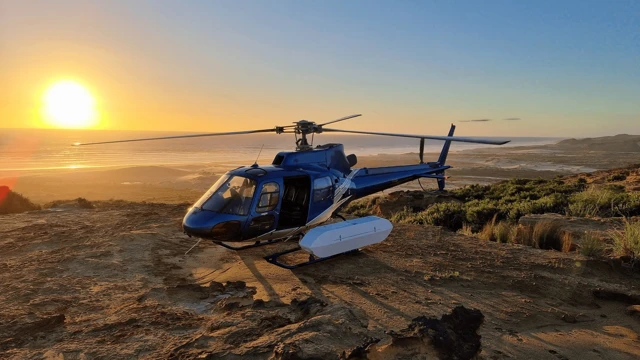 The True Honey Hive Flight Experience cover