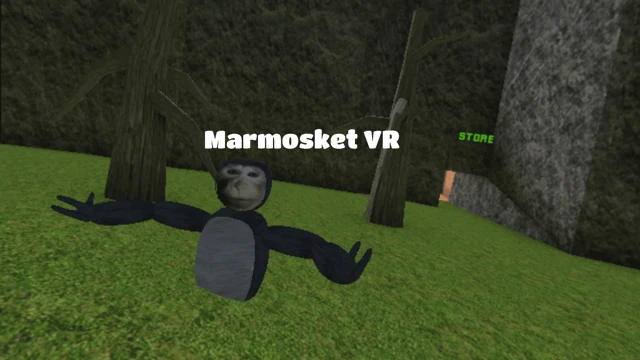Marmosket VR cover
