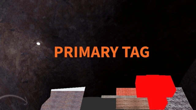 Primary Tag cover