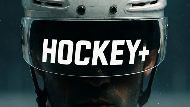 Hockey+ VR cover