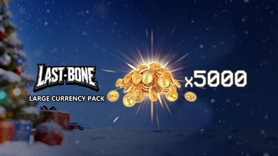 Large Currency Pack cover