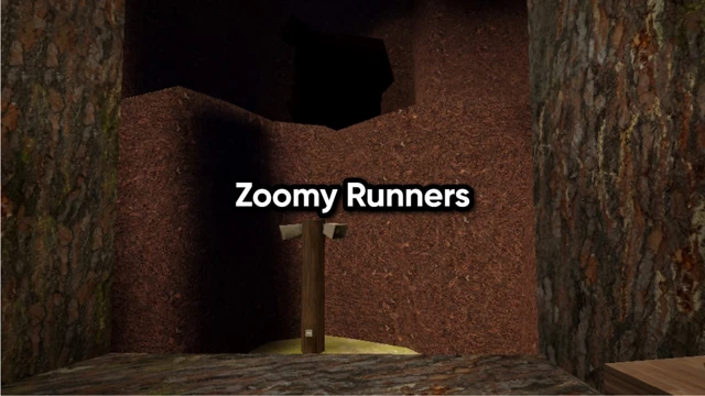 Zoomy Runners cover
