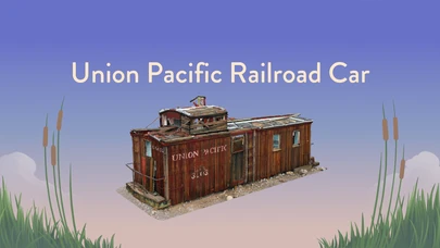 Union Pacific Railroad Car cover