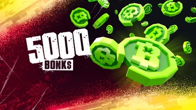 5000 BONK$ cover