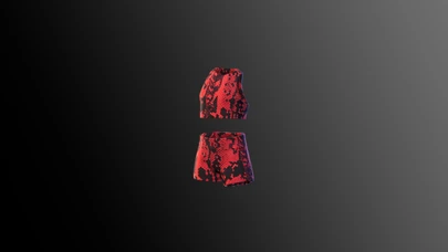 Crimson Serpent Workout Set cover