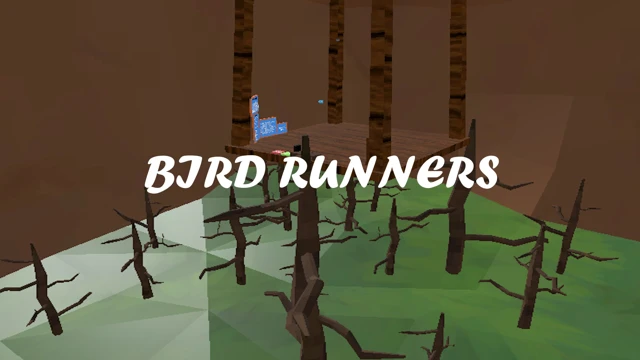 Bird Runners VR cover