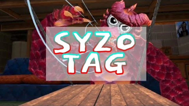 Syzo  Tag cover
