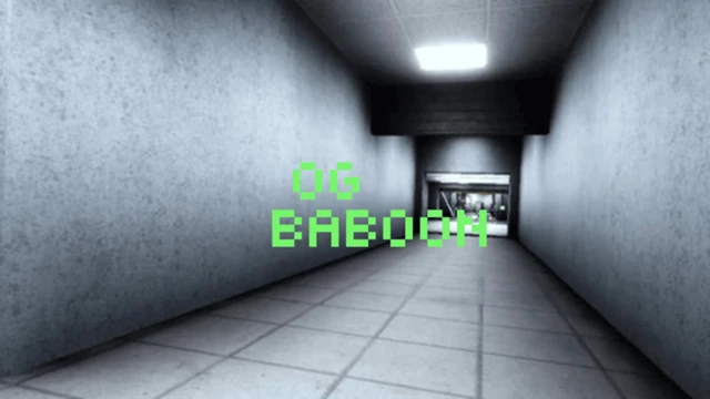 OG Baboon cover