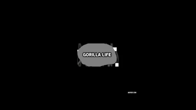 Gorilla Life cover