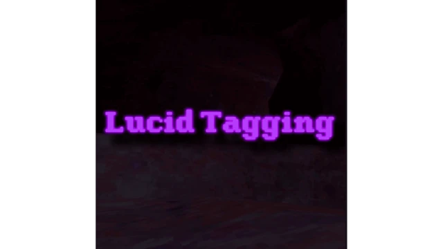 Lucid Tagging cover