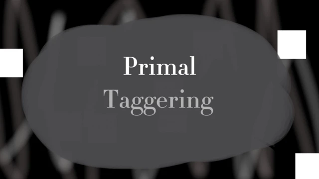 Primal Taggering cover