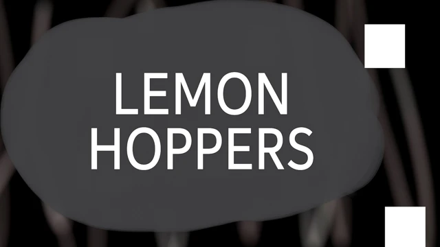 Lemon Hoppers cover