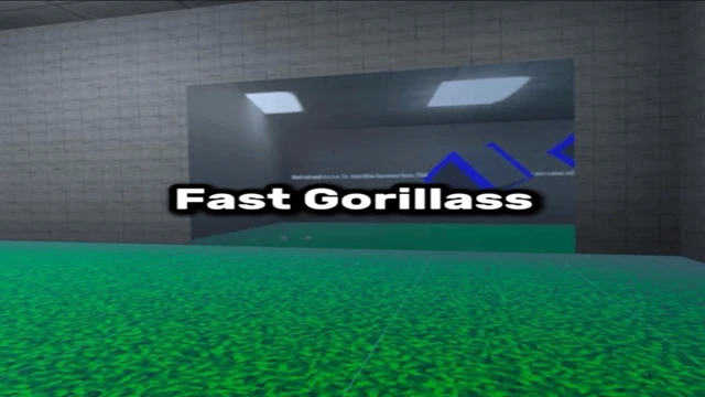 Fast Gorillass cover