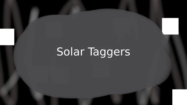Solar Taggers cover