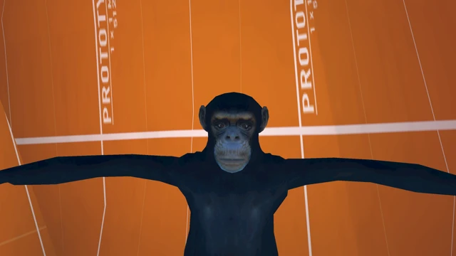 Gorilla Jungle Gym cover