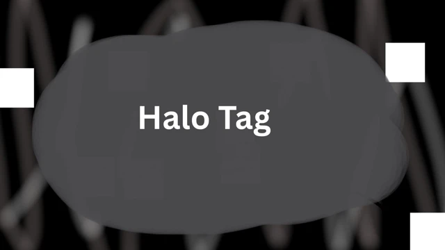Halo Tag cover