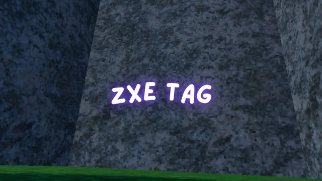 Zxe Tag cover