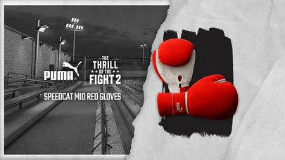 Speedcat Mid Red Gloves cover