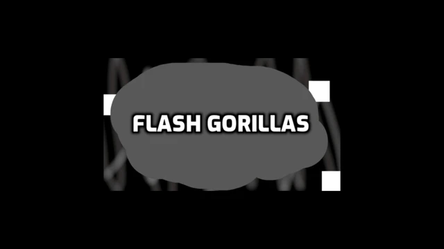 Flash Gorillas cover