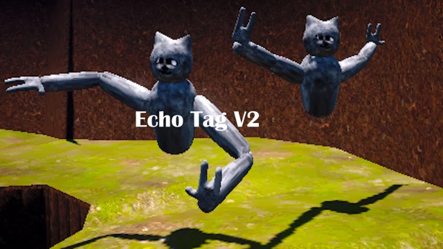 Echo Tag V2 cover