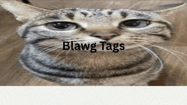 Blawg Tags cover