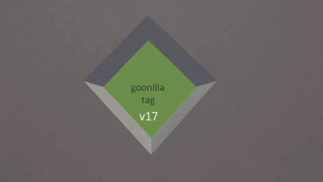 goonilla tag v17 cover