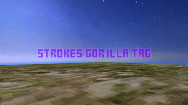 Strokes Gorilla Tag cover