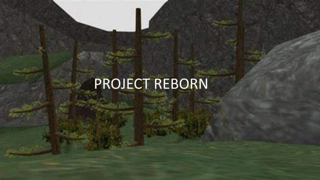 Project Reborn cover