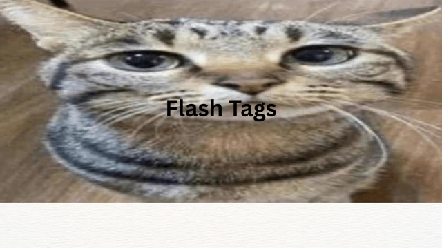 Flash Tags cover