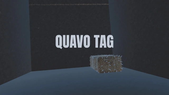 quavo tag cover