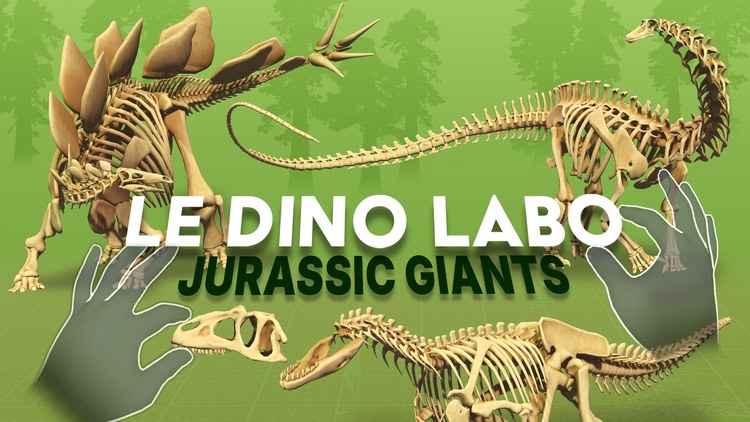 post cover image